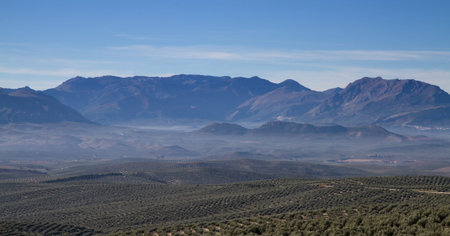 Panorama of Sierra Cazorla with Olive trees, Andalusia, Spain