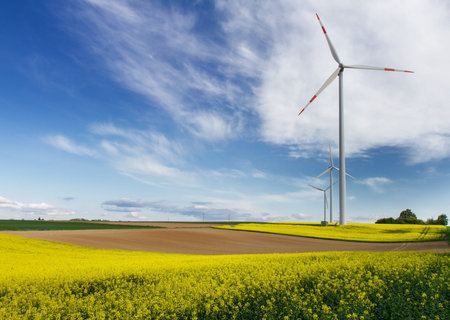 Renewable energy - Canola fields and Windmills