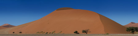 Panorama of the Sossusvlei dune field, Namibiaの写真素材