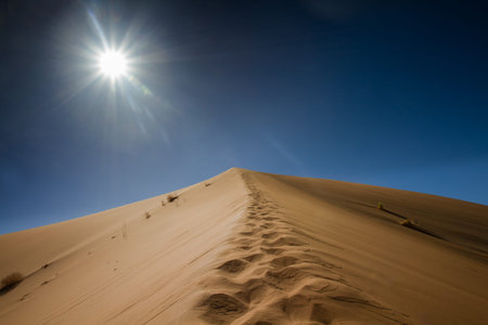Footsteps on the top of the sand dune, Sossusvlei, Namibia