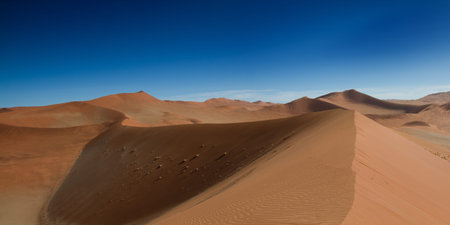 On the top of the sand dune, Sossusvlei, Namibiaの写真素材