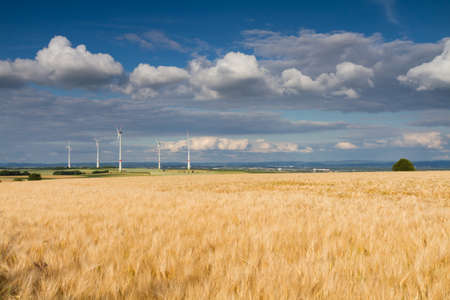 Golden wheat field and wind turbines, Hohe Strasse, Wetterau, Germanyの写真素材