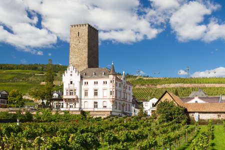 Medieval castle Boosenburg, Ruedesheim, Germanyのeditorial素材