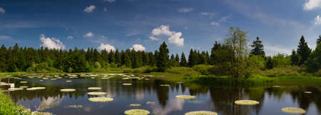 Marsh and pond at the Vogelsberg mountain range, Hessen, Germanyの写真素材