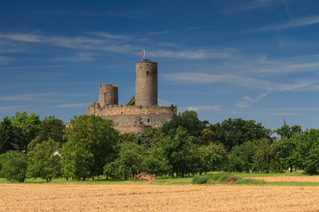 Castle Muenzenberg, Wetterau, Hesse, Germanyのeditorial素材