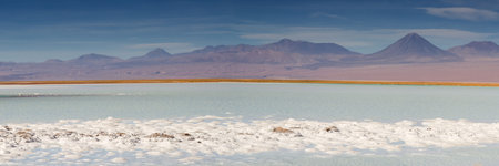 Panorama of Laguna Tebinquinche, Atacama Desert, Chileの写真素材