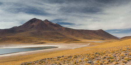 Panorama of Laguna Miscanti, Atacama desert, Chileの写真素材