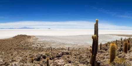 Panorama of Salar de Uyuni from Isla Pia Pia, Altiplano, Boliviaの写真素材