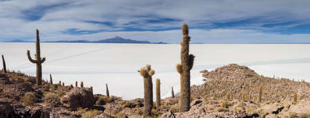 Panorama of Salar de Uyuni as seen from Isla Incahuasi, Boliviaの写真素材