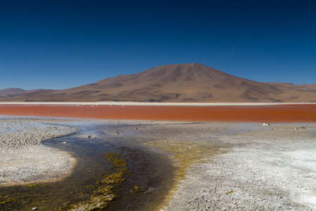 Flamingos at Laguna Colorada, Altiplano, Boliviaの写真素材