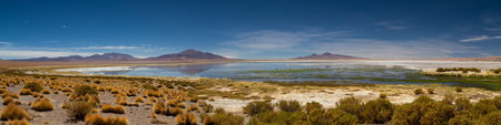 Panorama of the Salar de Tara, Atacama Desert, Chile
