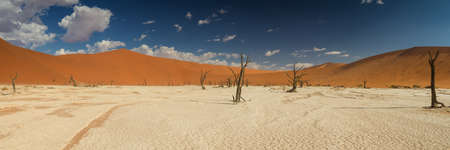 Panorama of the Dead Vlei salt pan, Sossusvlei, Namibia, Africaの写真素材