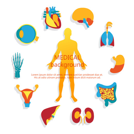 Medical background. Human anatomy.のイラスト素材