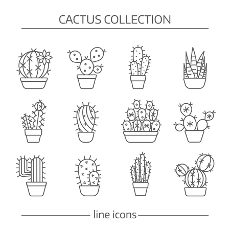 Line icons of cactusのイラスト素材