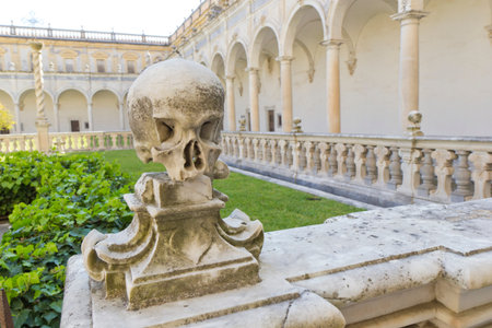 skull naples