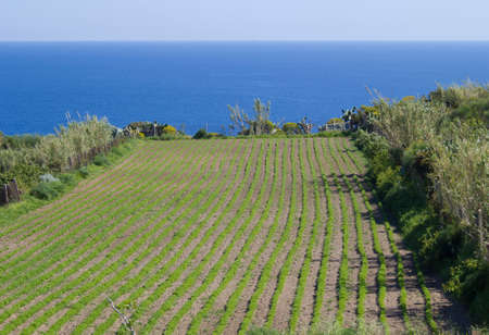 nature and seaの写真素材