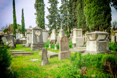 cemeteryのeditorial素材