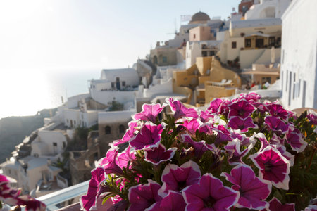 view of oia santorini greeceの写真素材