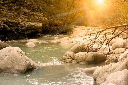 mountain river at sunset in matese parkの写真素材