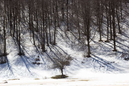 mountain trail with snow at matese parkの写真素材