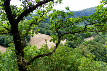 Mountain gorges of Quirino in Matese park