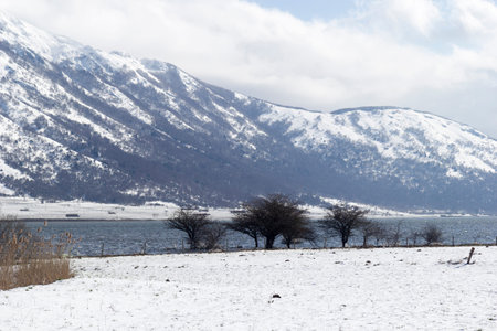 view of mountain lake with snow