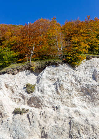 autumn trees and white rockの写真素材