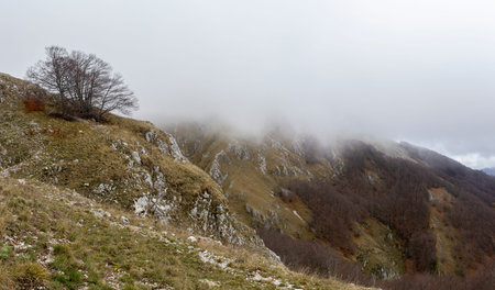 panoramic from the mountain peaks