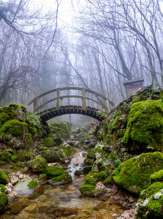 small bridge over stream in winter autumn