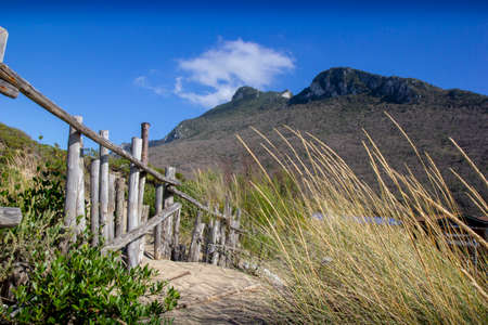 sand dunes on the Circeo coastの写真素材