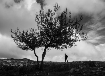 hiker on mountain park on matese parkの写真素材