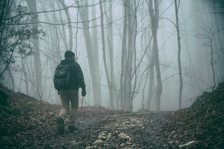 hiker in the fog on sapwood mountainsの写真素材