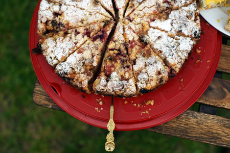 Delicious home and handmade cacke on garden partyの写真素材