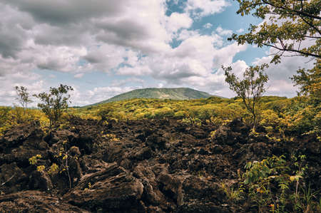 A landscape of volcanic rocks due to an eruption of Masaya volcano many years agoの写真素材