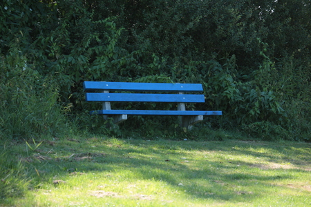 bench in the parkの写真素材