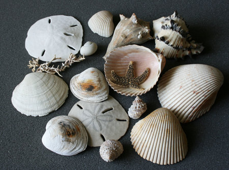 sea & souvenir