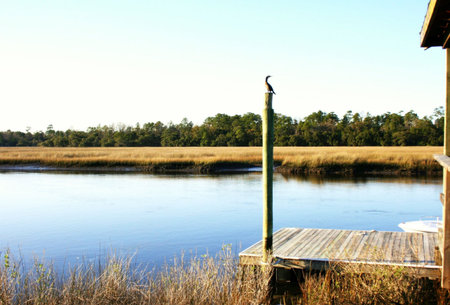 waiting..の写真素材