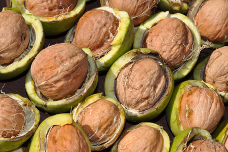fresh walnut crust