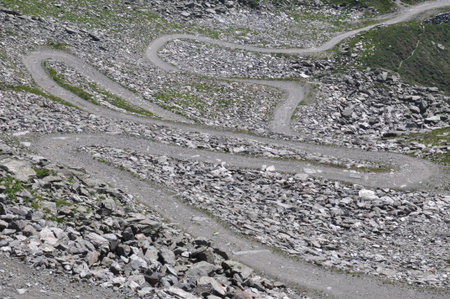 intricate trailの写真素材