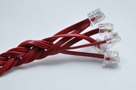 Red cables RJ 45 connectorの写真素材