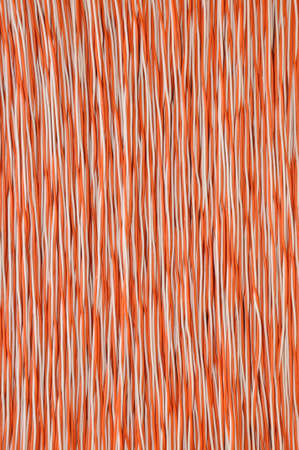 Colorful network cable white orangeの写真素材