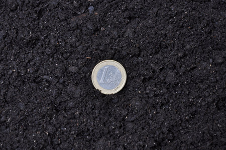 Lucky coin investments in land