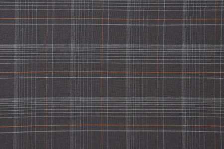 Brown cloth with checkered pattern with lines 