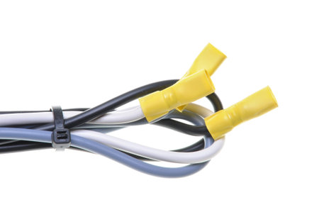 Black and gray electric wires with terminals 