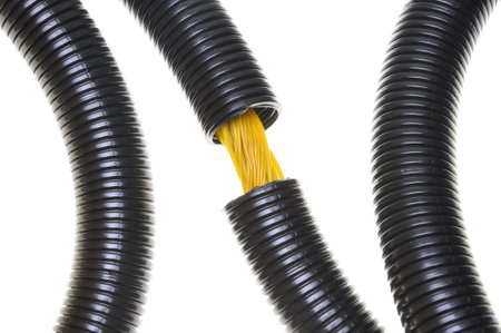 Corrugated black pipe with yellow cables isolated on whiteの写真素材