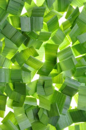 Pieces of green leaves as natural background の写真素材