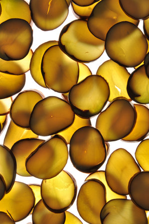 Chestnut slices on a white background