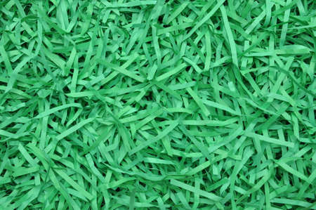 Green shredded paper as backgroudの写真素材