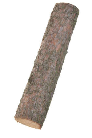 Wood log isolated on white backgroundの写真素材