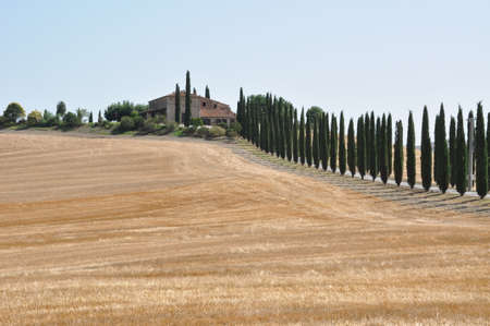 Hill after the harvest. Val d'Orcia, Tuscany, Italyの写真素材